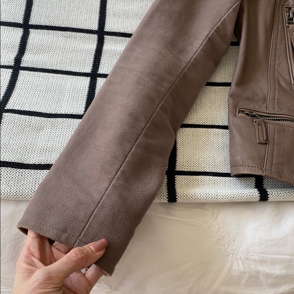 Joie lamb leather Seabrooke Moto Jacket - Picture 9 of 13